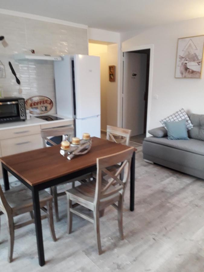 Enclos Savoyard Appartement Meuble 1Chambre 1 Canape Lits 3Personnes Grand-Aigueblanche Экстерьер фото